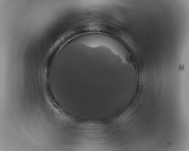 X0000112830722200908211216