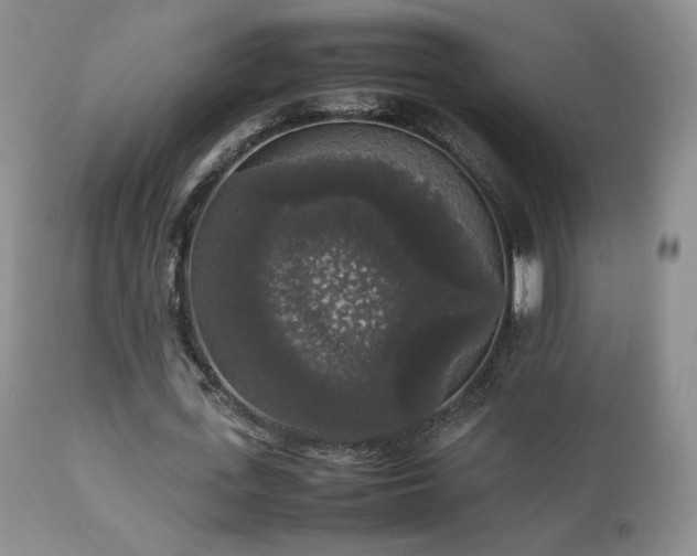 X0000112830723200908211216