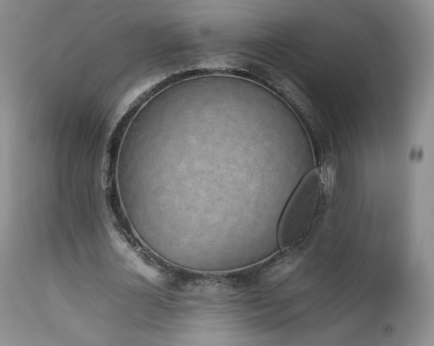 X0000112830724200908211216