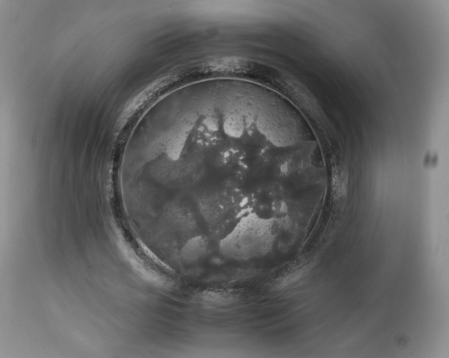 X0000112830725200908211216