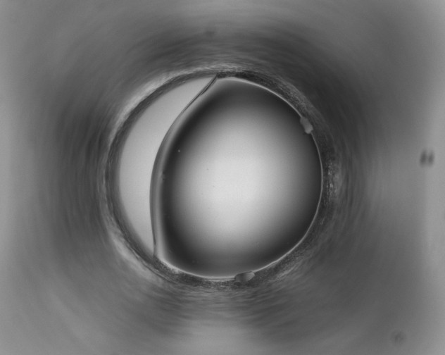 X0000112830726200908211216