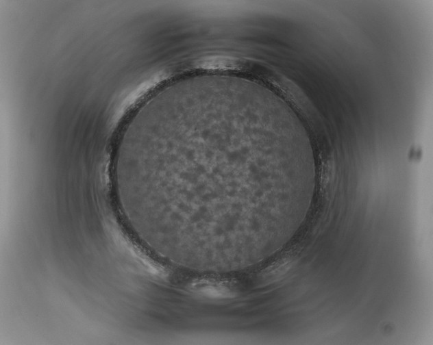 X0000112830727200908211216