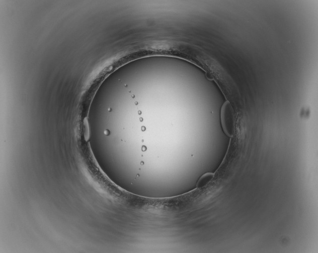 X0000112830728200908211216