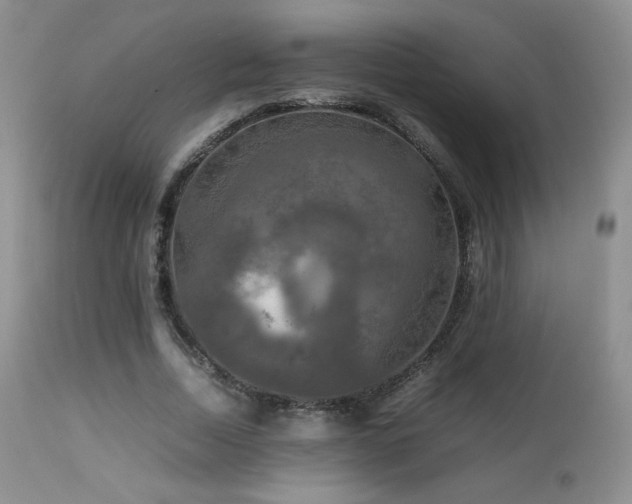 X0000112830730200908211216
