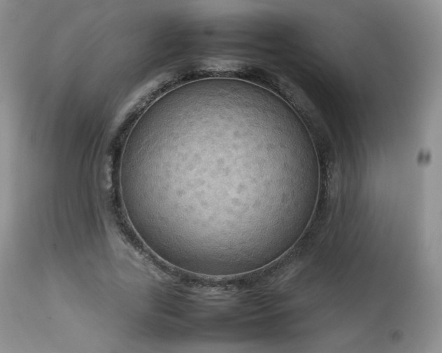 X0000112830731200908211216