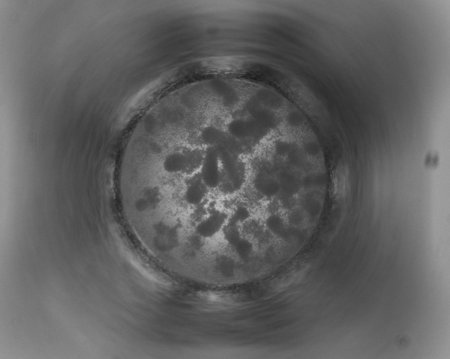 X0000112830733200908211216