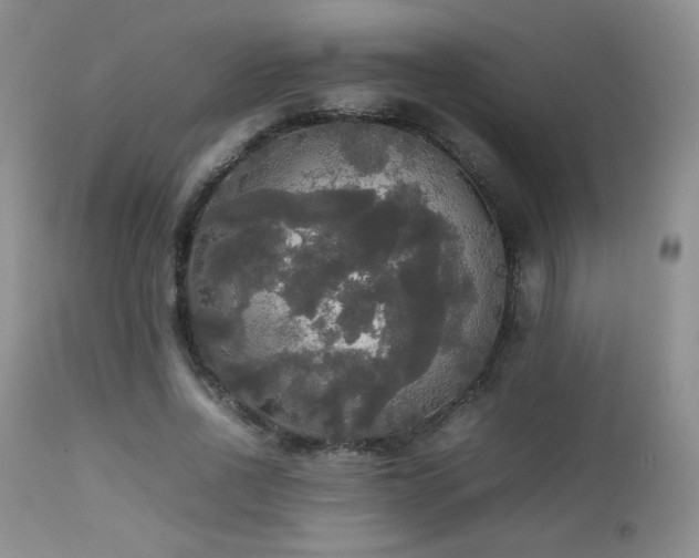 X0000112830734200908211216
