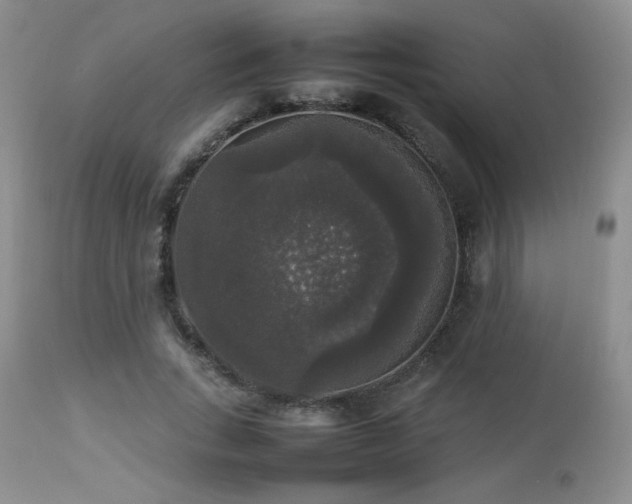 X0000112830735200908211216