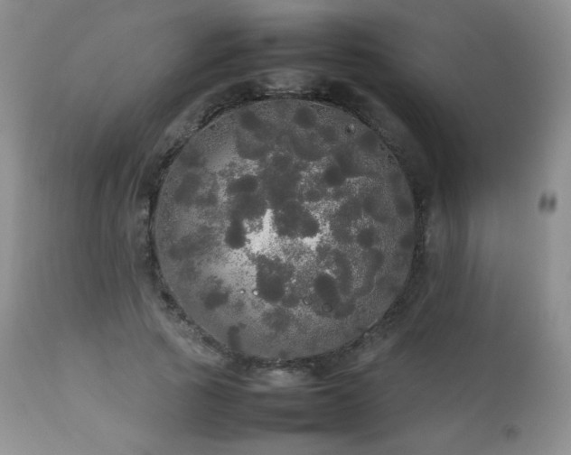 X0000112830737200908211216