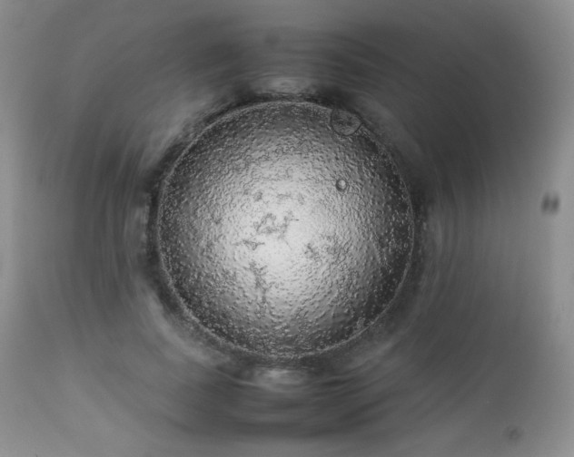 X0000112830739200908211216