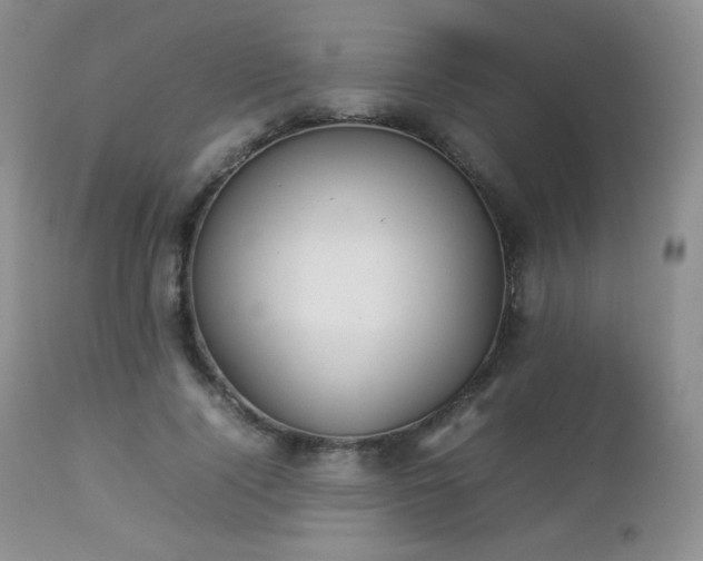 X0000112830740200908211216