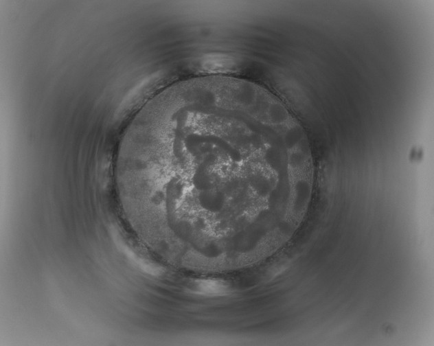 X0000112830741200908211216