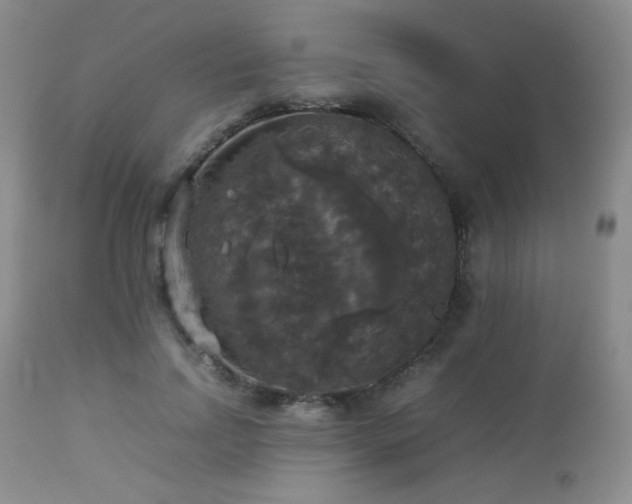 X0000112830742200908211216
