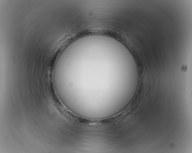 X0000112830744200908211216