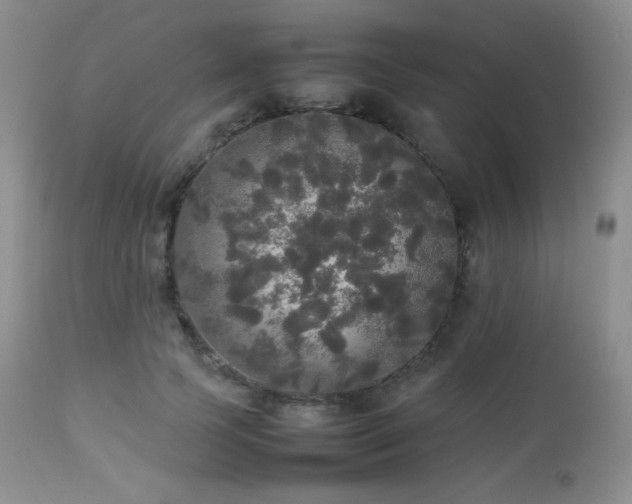 X0000112830745200908211216