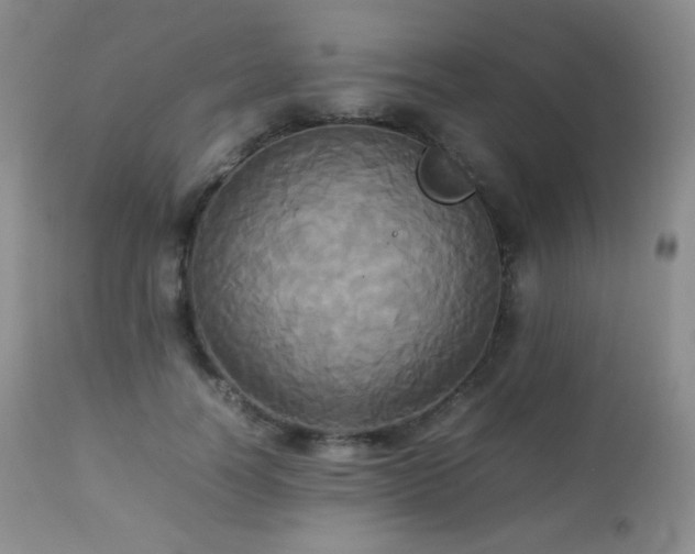 X0000112830746200908211216