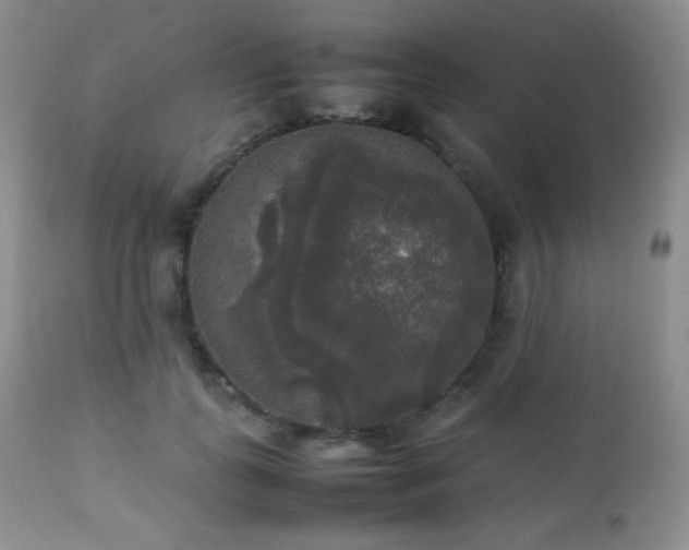 X0000112830747200908211216