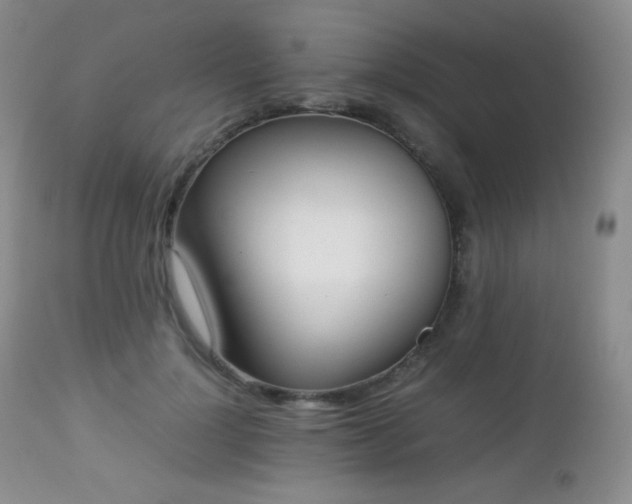 X0000112830748200908211216