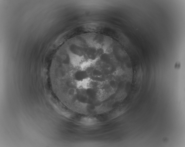 X0000112830749200908211216