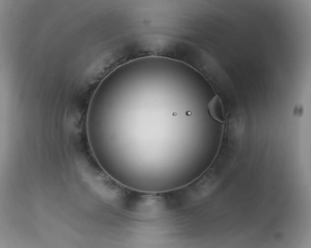 X0000112830750200908211216