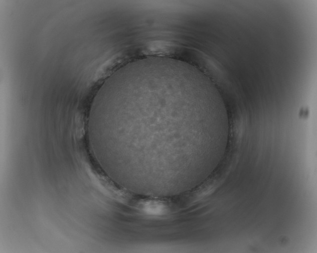 X0000112830751200908211216