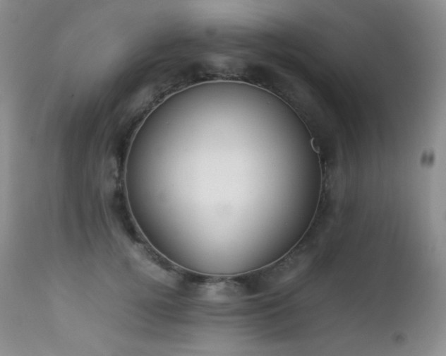 X0000112830752200908211216