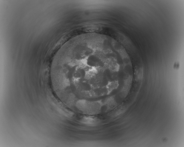X0000112830753200908211216