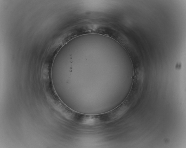 X0000112830754200908211216