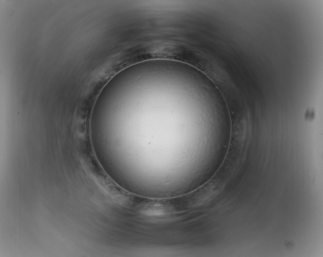 X0000112830755200908211216