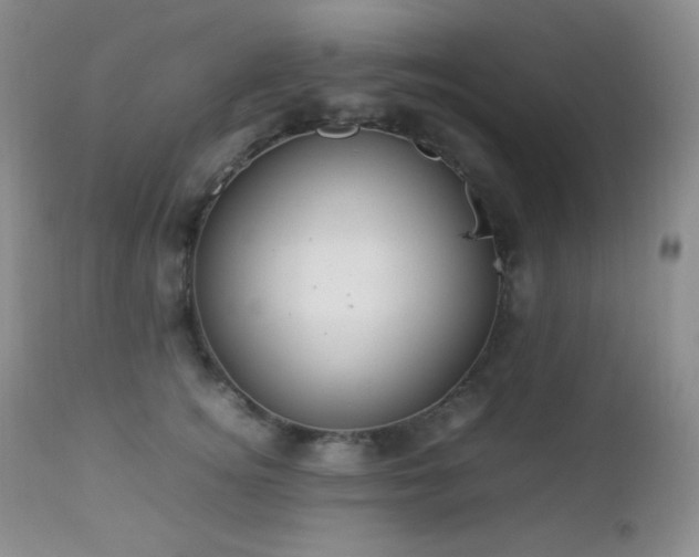 X0000112830756200908211216