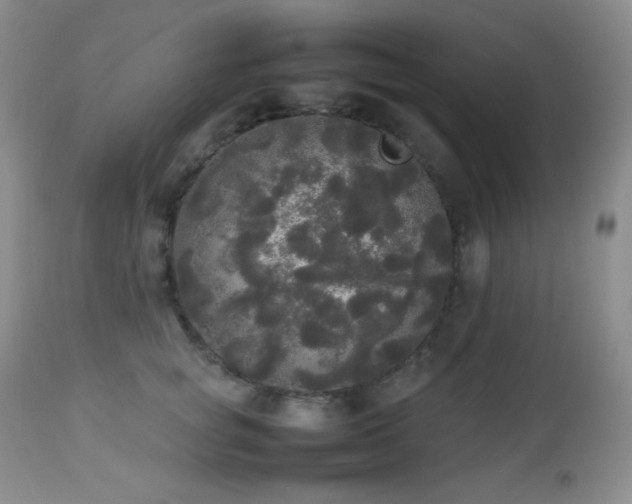X0000112830757200908211216