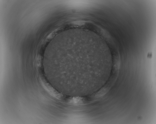 X0000112830758200908211216