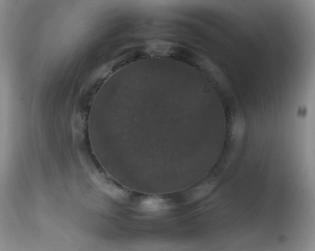 X0000112830759200908211216