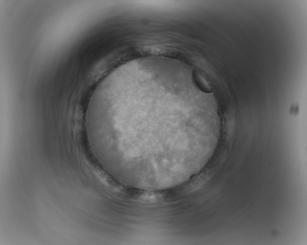 X0000112830760200908211216