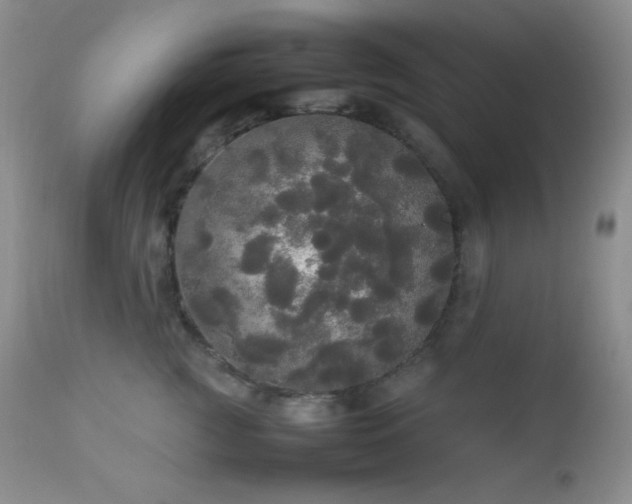 X0000112830761200908211216