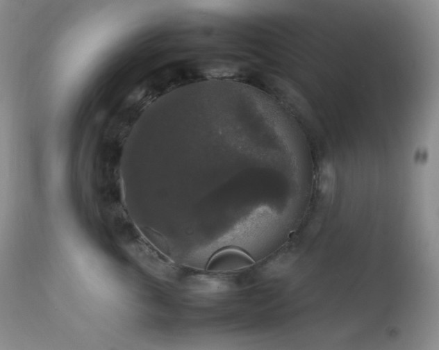 X0000112830763200908211216