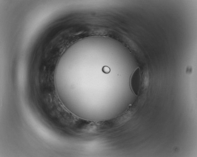 X0000112830764200908211216
