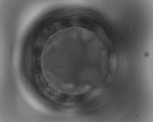 X0000112830765200908211216