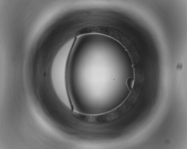 X0000112830766200908211216