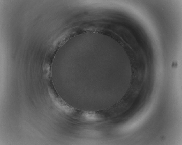 X0000112830767200908211217