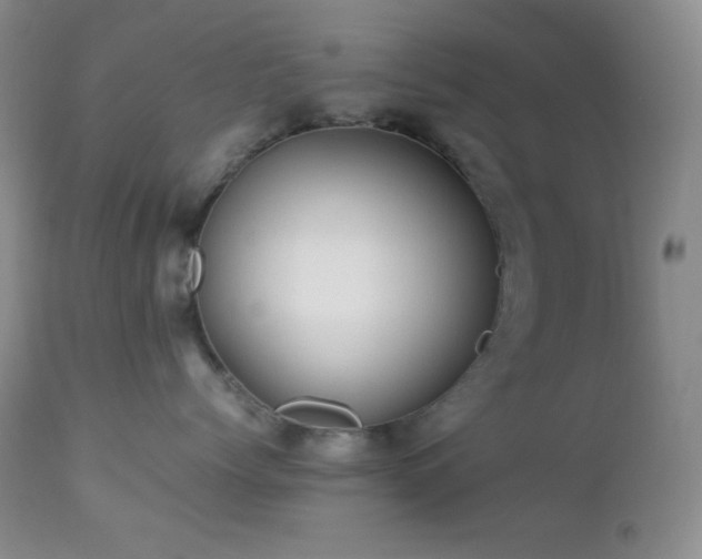 X0000112830768200908211217