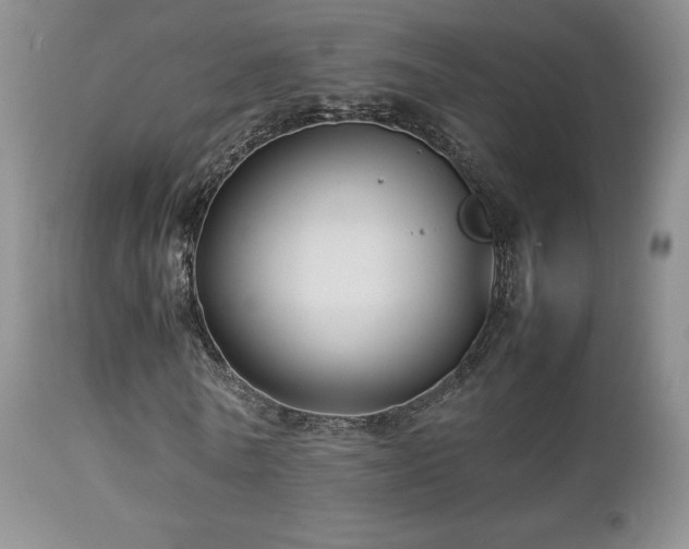 X0000112830770200908211216