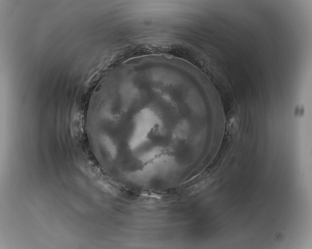 X0000112830772200908211216