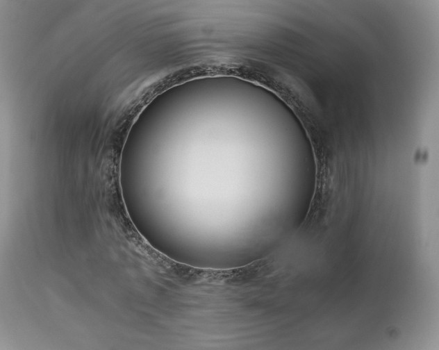 X0000112830773200908211216