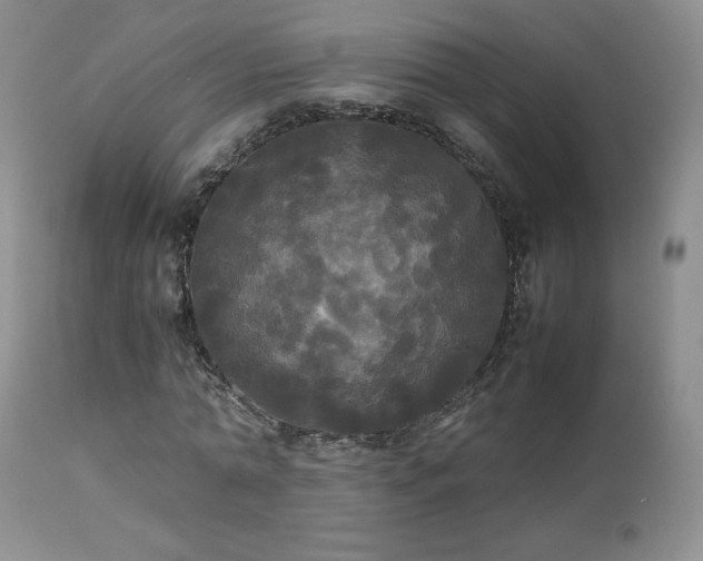 X0000112830774200908211216