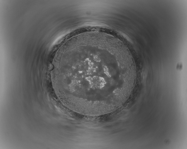 X0000112830775200908211216