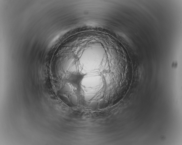 X0000112830776200908211216