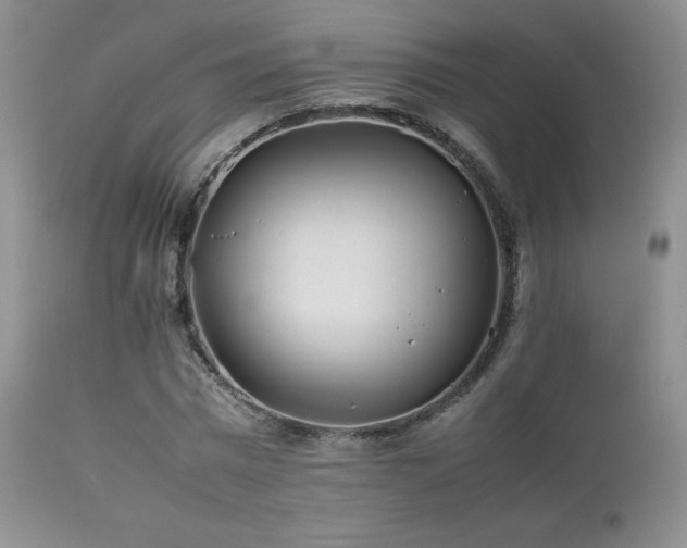 X0000112830777200908211216