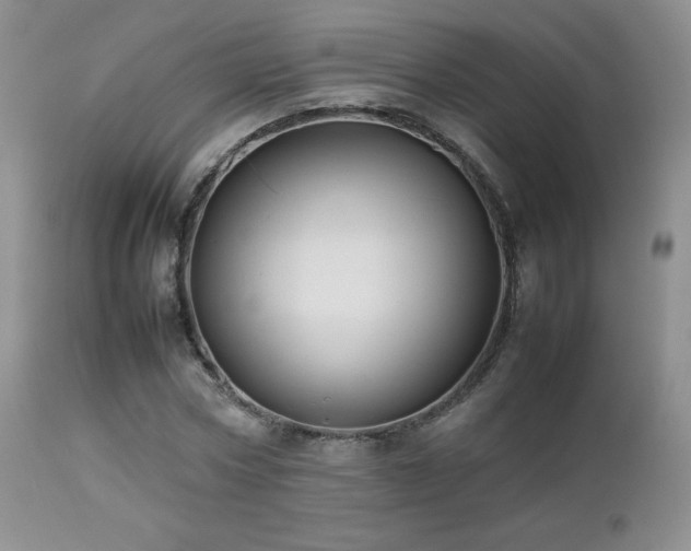 X0000112830778200908211216
