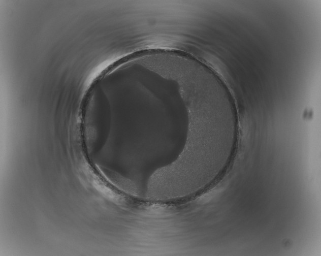 X0000112830779200908211216